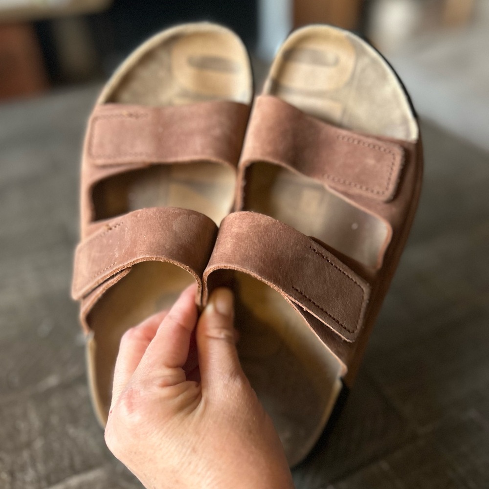 Ecco cosmo slides